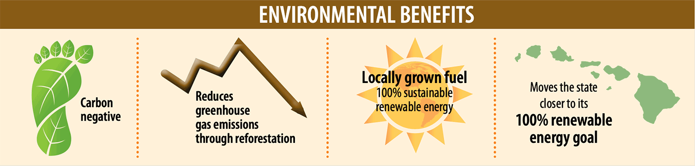 Biomass Generated Energy Benefits